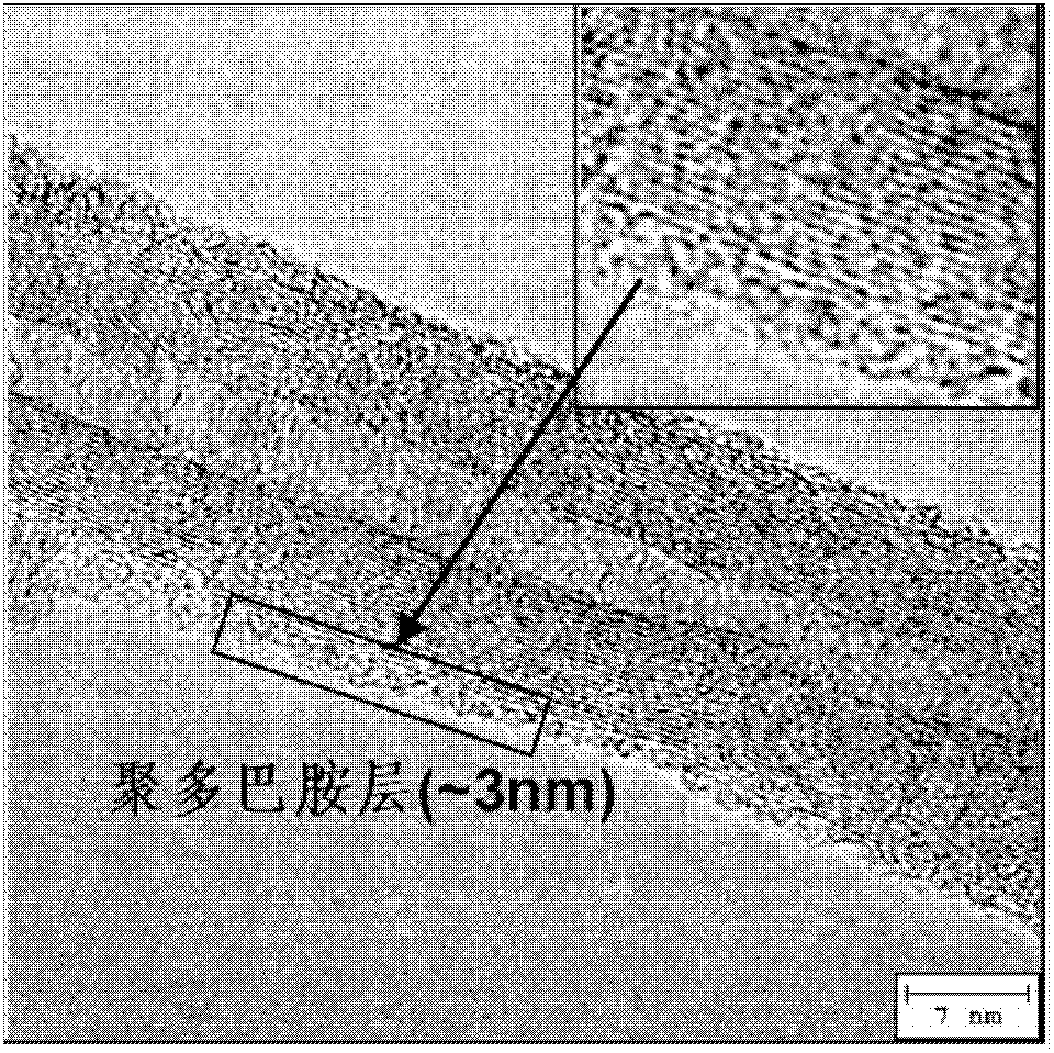 Dopamine modified carbon nanotube/rubber composite material and preparation method thereof