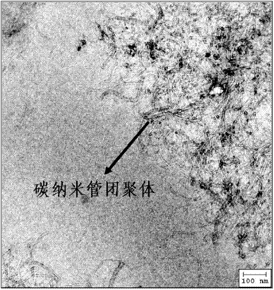 Dopamine modified carbon nanotube/rubber composite material and preparation method thereof