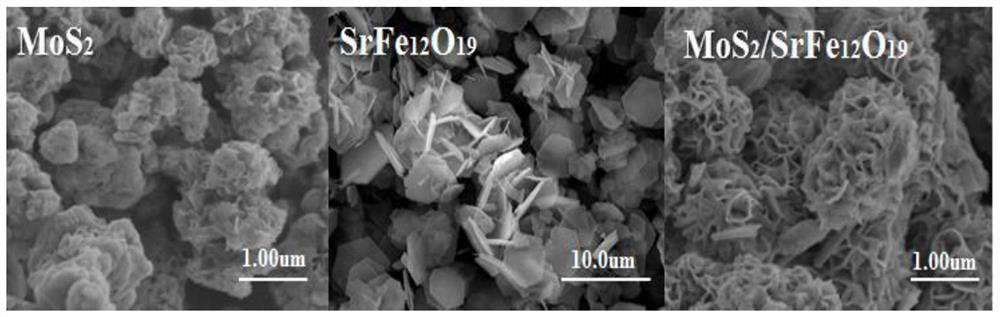 a mos  <sub>2</sub> /srfe  <sub>12</sub> o  <sub>19</sub> Preparation method of composite magnetic photocatalyst