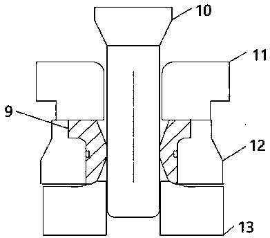 Forging method for outer ring or inner ring of double-row conical bearing