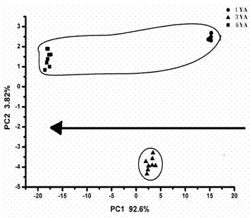 A kind of detection method of yellow rice wine wine age