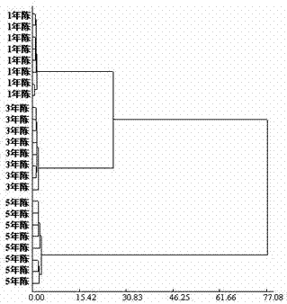 A kind of detection method of yellow rice wine wine age