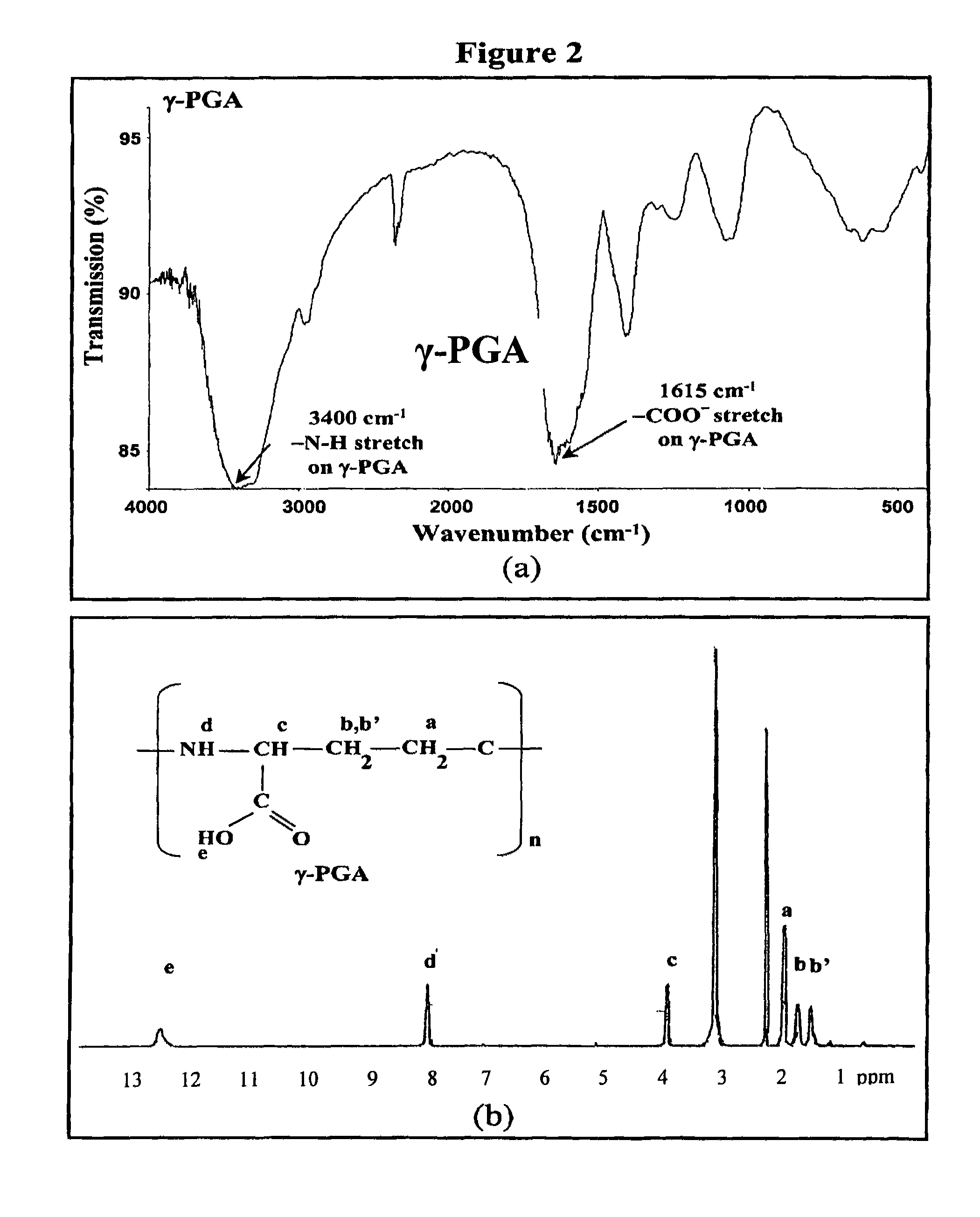 Nanoparticles for protein drug delivery