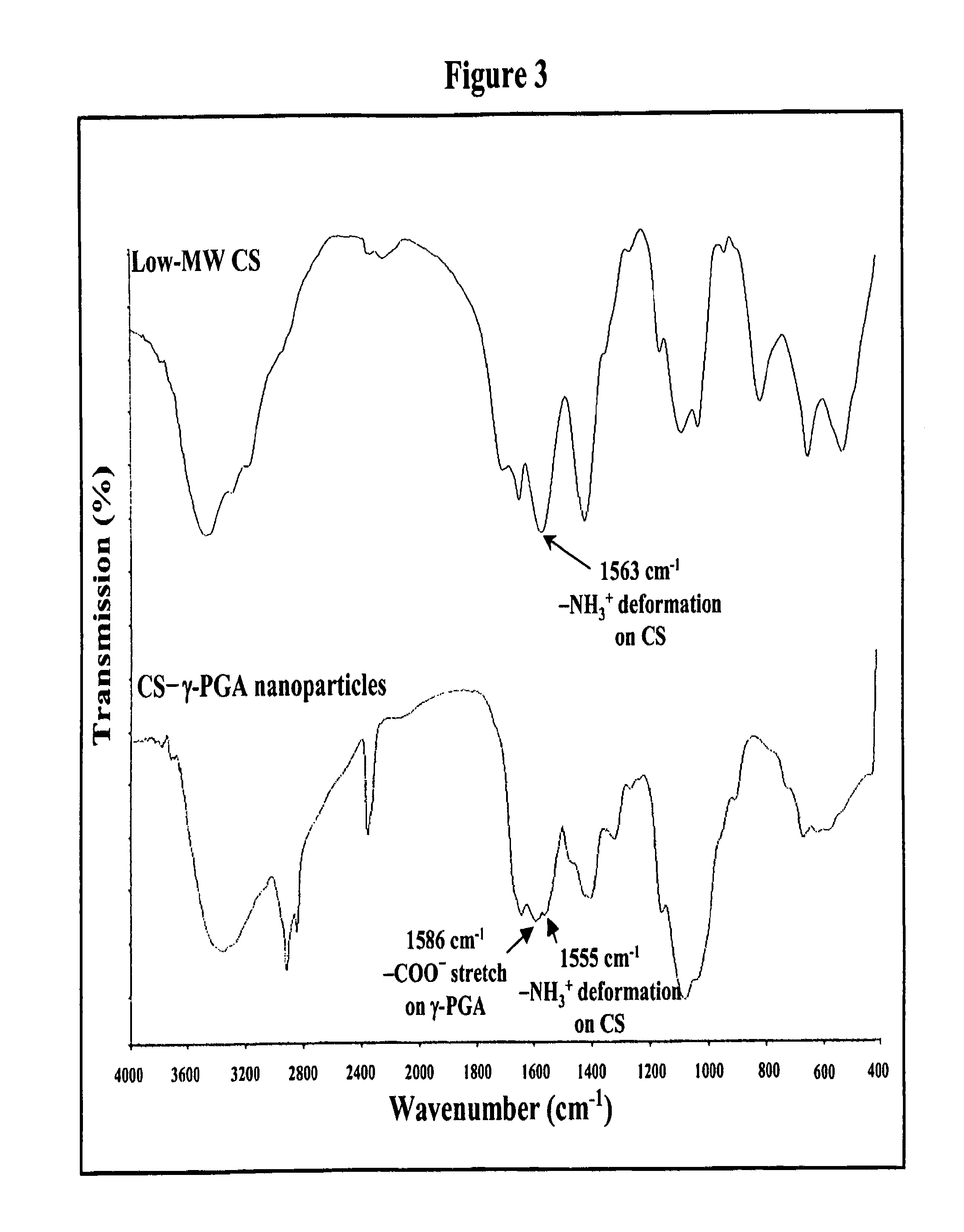 Nanoparticles for protein drug delivery