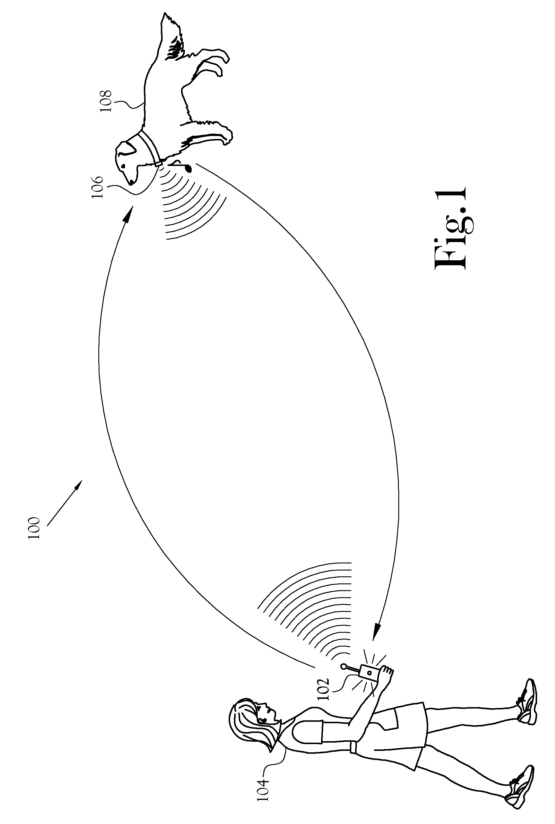 Electronic Animal Training Apparatus Providing Feedback