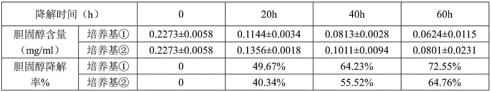 Composite fungal polysaccharide functional food