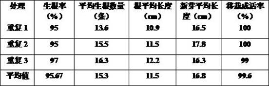 Method for efficient cuttage breeding of camellia oleifera seedlings in high altitude area