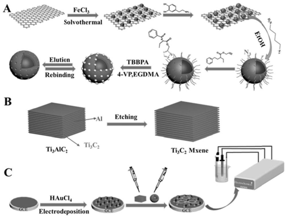 Magnetic surface molecular imprinting electrochemical sensor as well as preparation method and application thereof