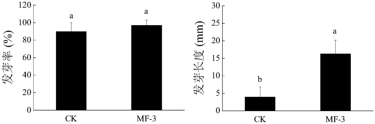 Trichoderma longibrachiatum with broad-spectrum antibacterial performance and application thereof