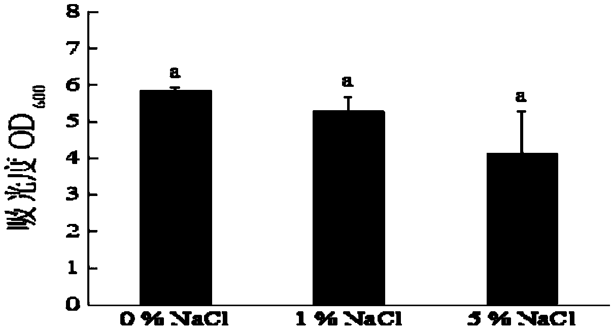 Trichoderma longibrachiatum with broad-spectrum antibacterial performance and application thereof