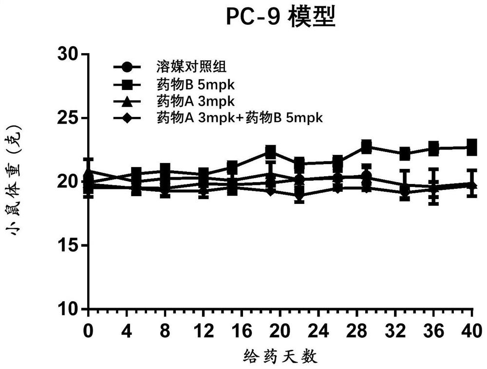 Application of EGFR (epidermal growth factor receptor) inhibitor and anti-angiogenesis medicine in medicine for treating tumor diseases