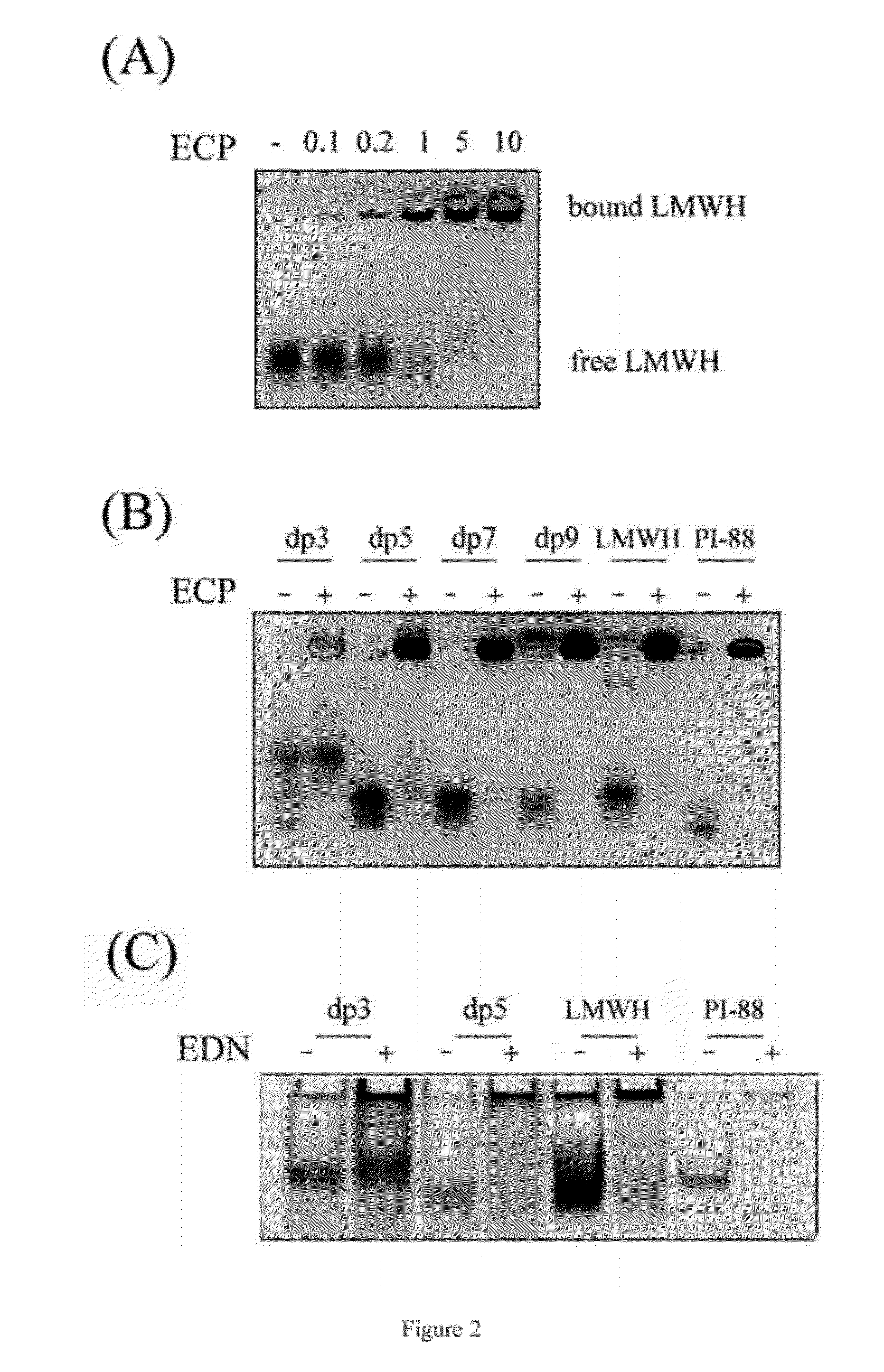 Method of using heparin binding motif for treating asthma