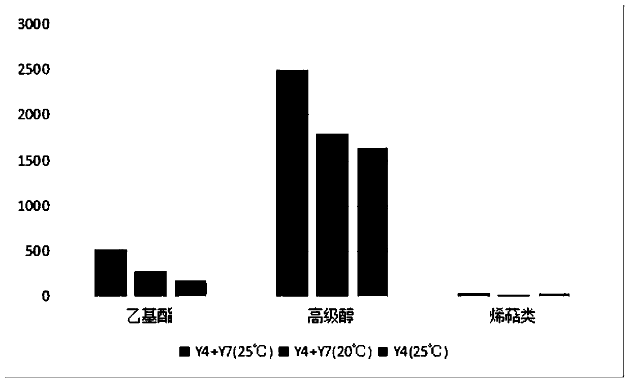 Method for producing high-quality mulberry wine by fermentation