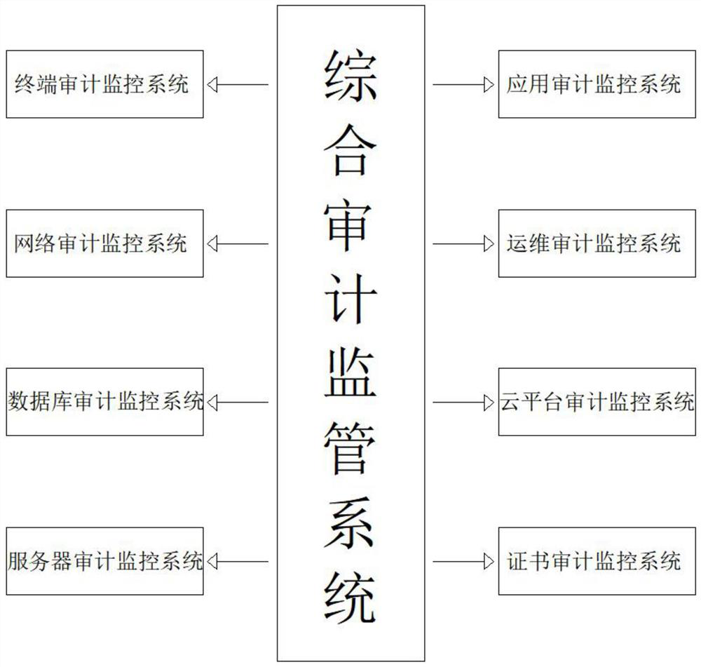 Comprehensive audit supervision system