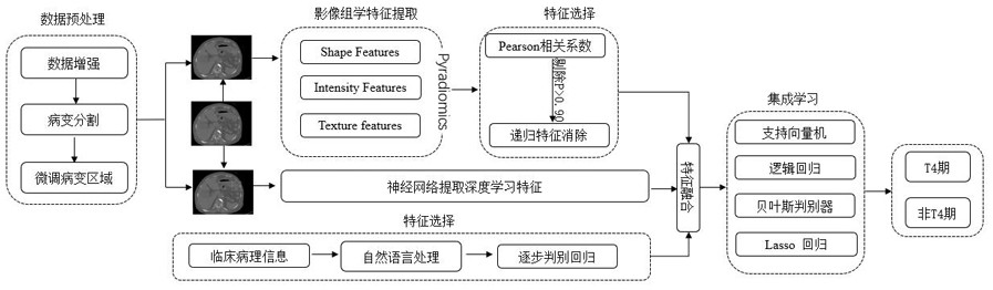 Colorectal cancer image classification method and system combining deep learning and radiomics