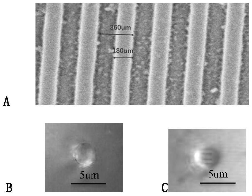 Method for carrying out super-resolution imaging by utilizing micron-scale liquid drops generated in real time