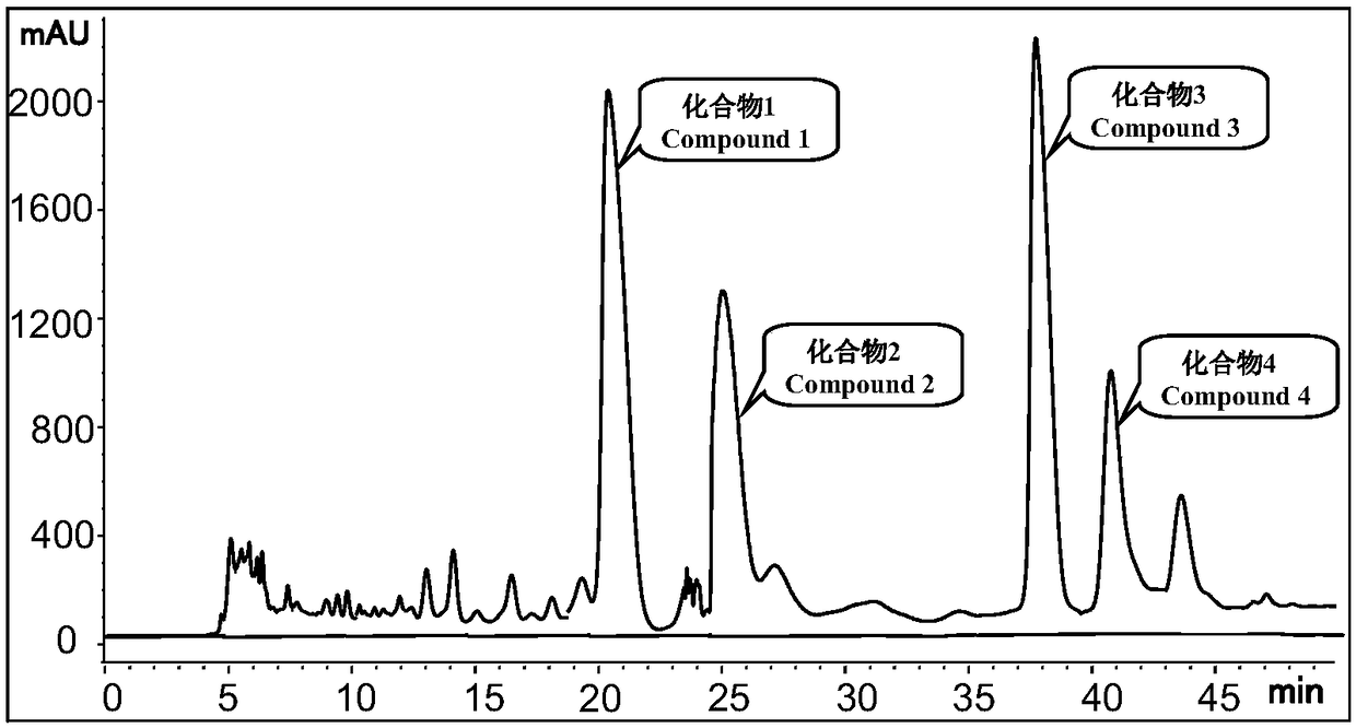 Tetracyclic triterpenoid compounds and preparation method thereof