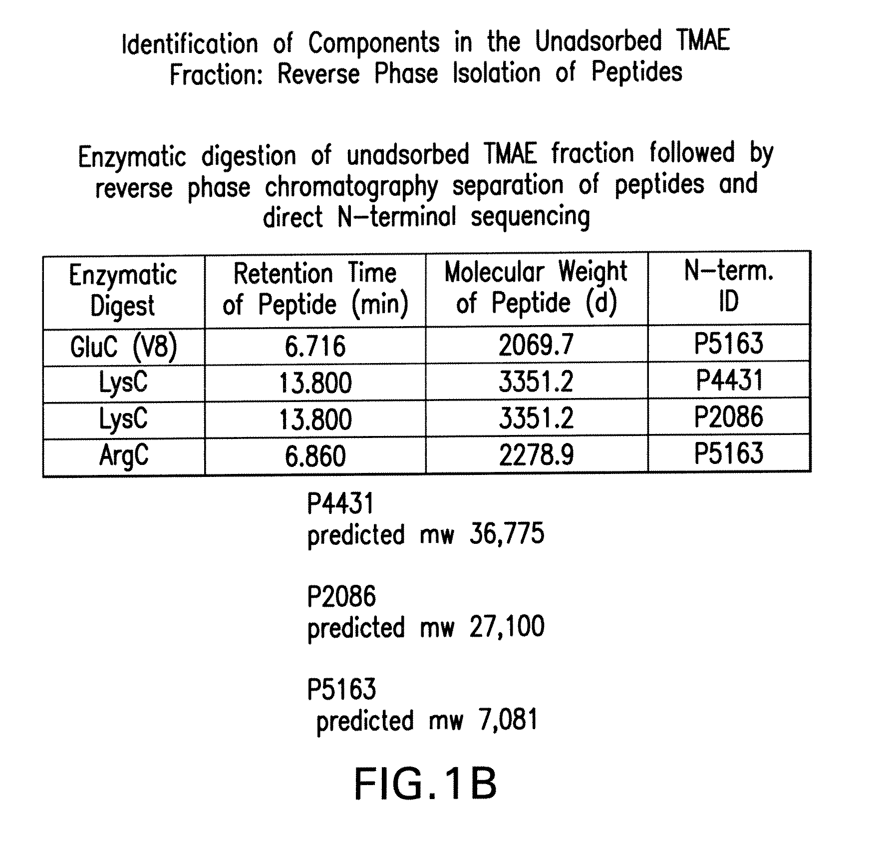 Immunogenic compositions for the prevention and treatment of meningococcal disease