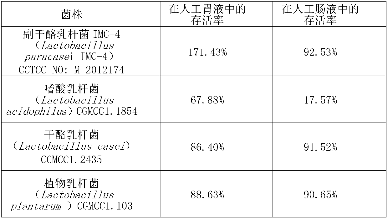 High-activity composite lactobacillus beverage and preparation method thereof