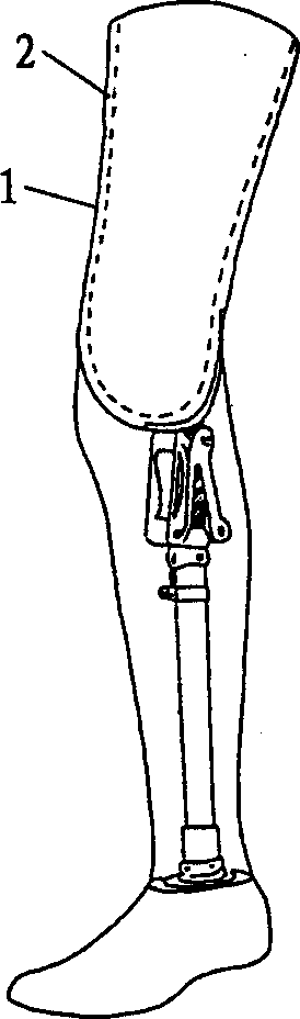 Artificial meromelia extremity and its making and installing process