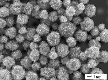 Method for preparing zinc oxide micron sphere