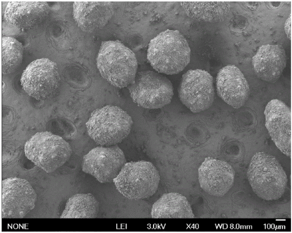 Method for preparing lutein feed additive