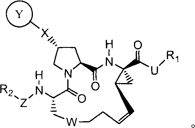 Hcv protease inhibitors