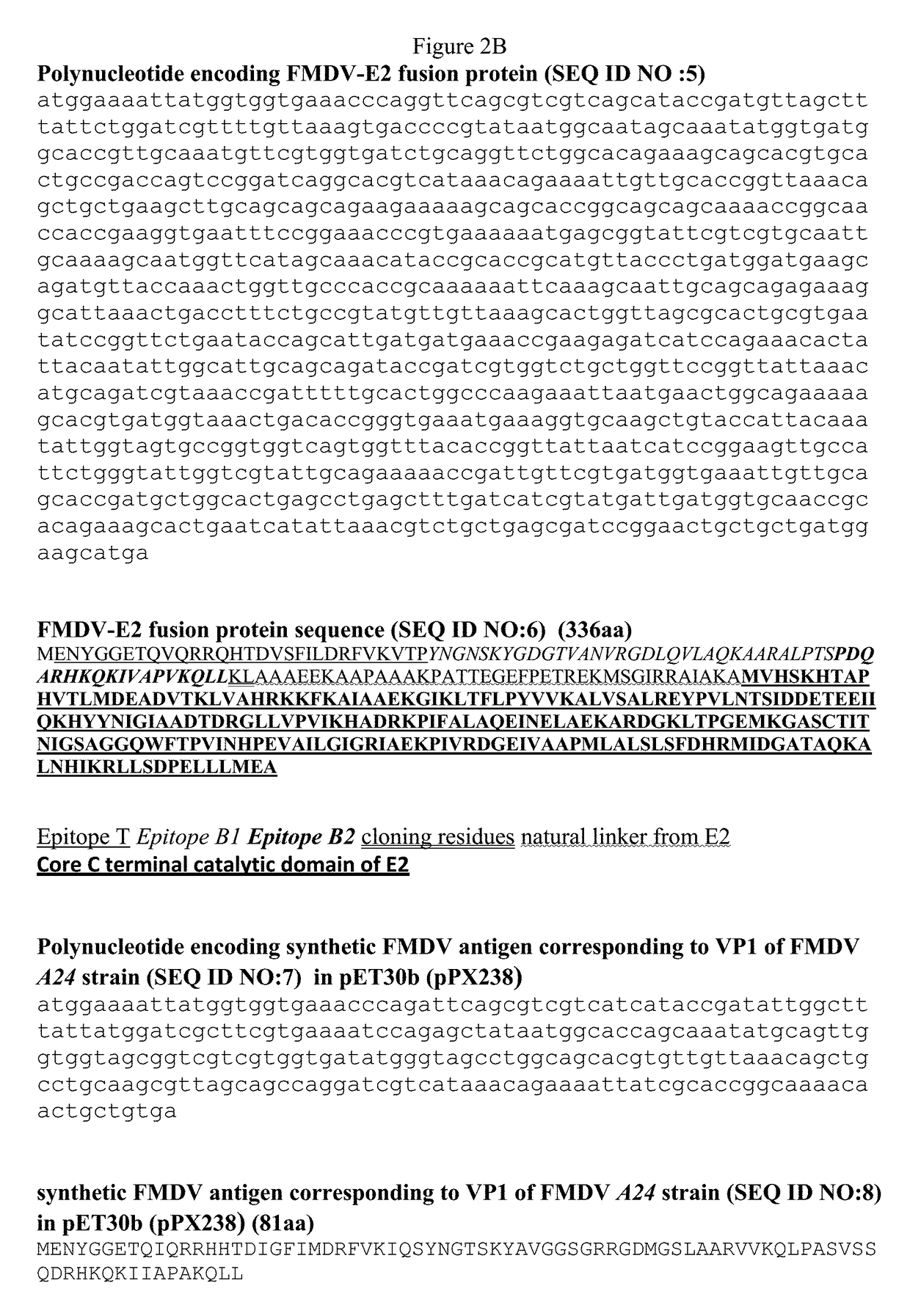 FMDV and E2 fusion proteins and uses thereof