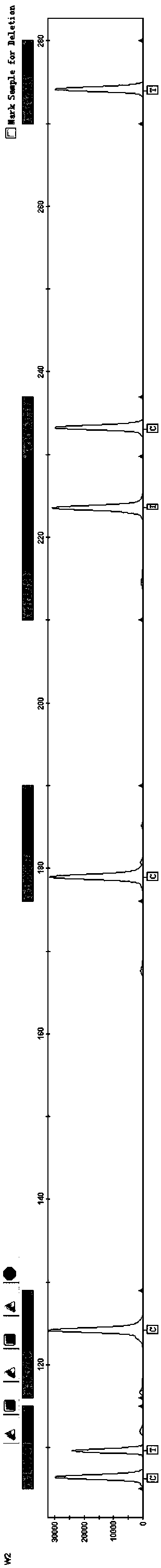 Compound amplification kit for simultaneously detecting female skin and hair SNP (Single Nucleotide Polymorphism) genetic polymorphism site and application thereof