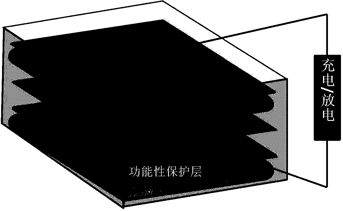 Lithium negative electrode with functional protective layer and lithium sulfur battery