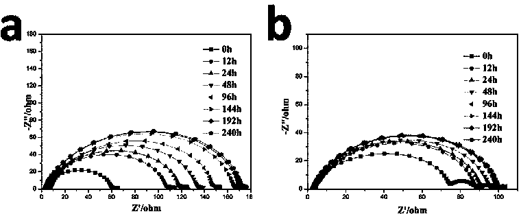 Lithium negative electrode with functional protective layer and lithium sulfur battery