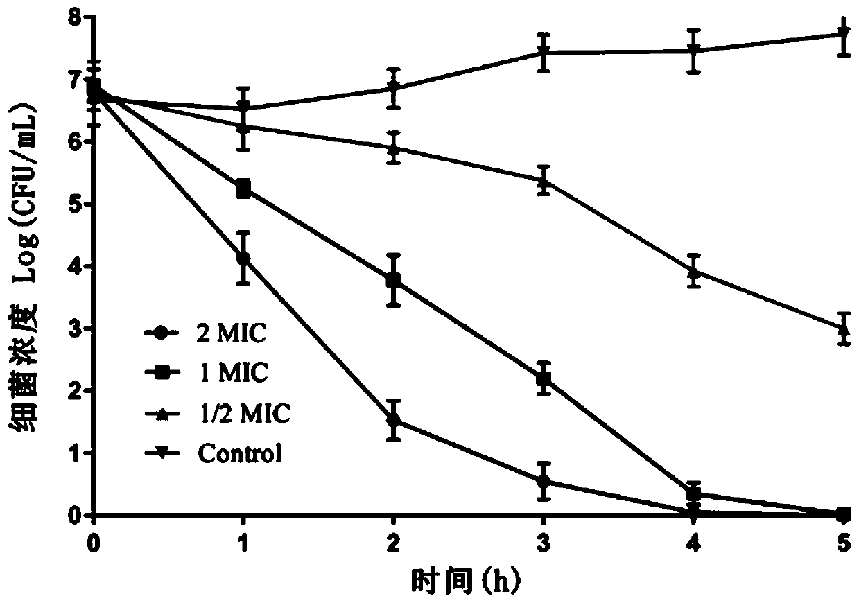 Application of Tegillarca granosa hemoglobin antimicrobial peptide in food preservation and fresh-keeping