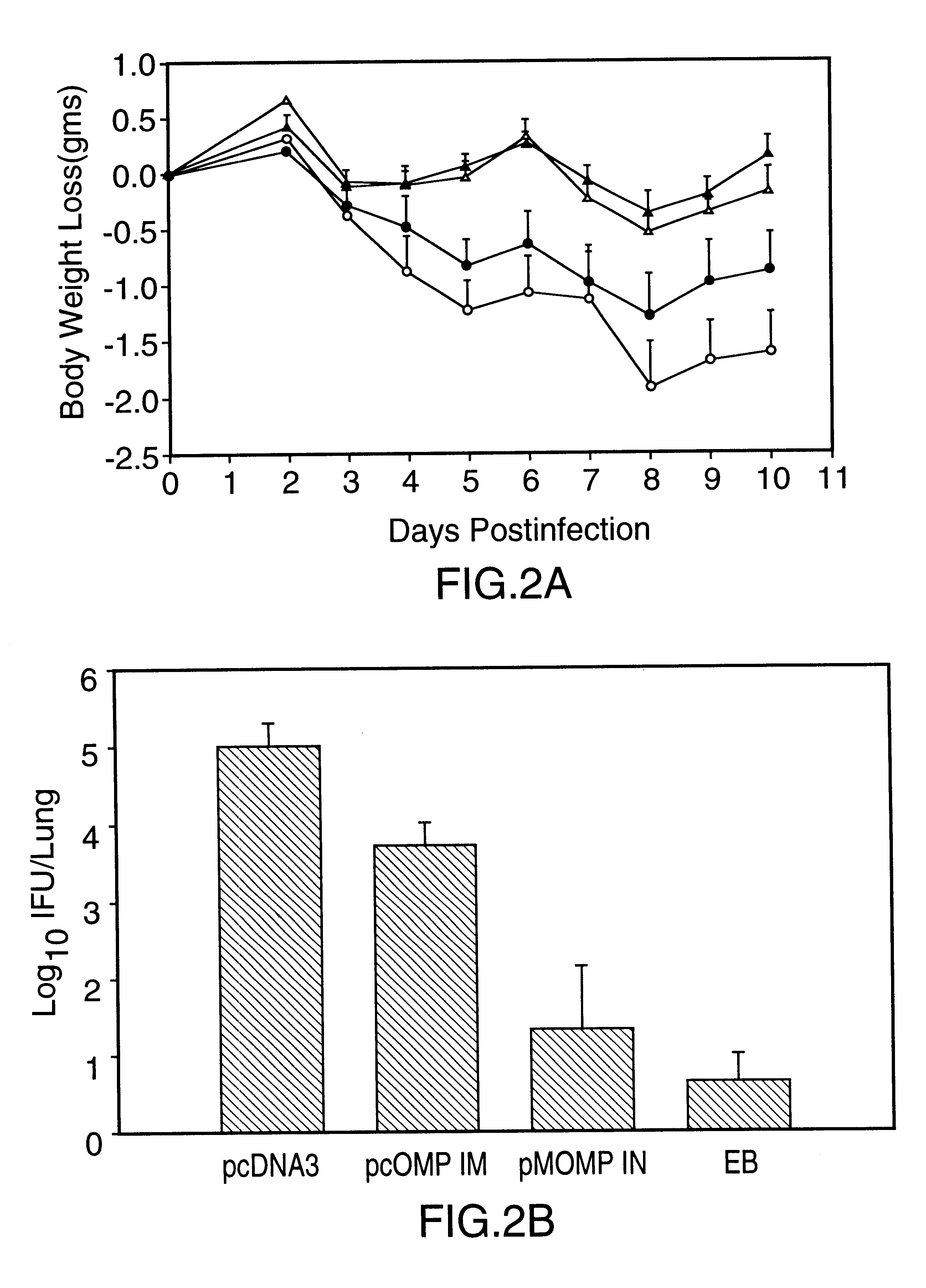 DNA immunization against chlaymdia infection