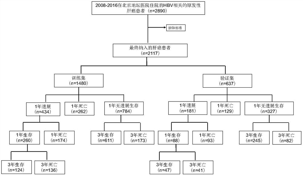 System for judging prognosis conditions of liver cancer patients based on artificial neural network model