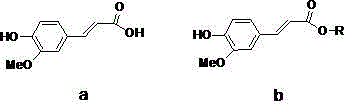 Method for synthesis of ferulic acid ester by solid acid catalysis