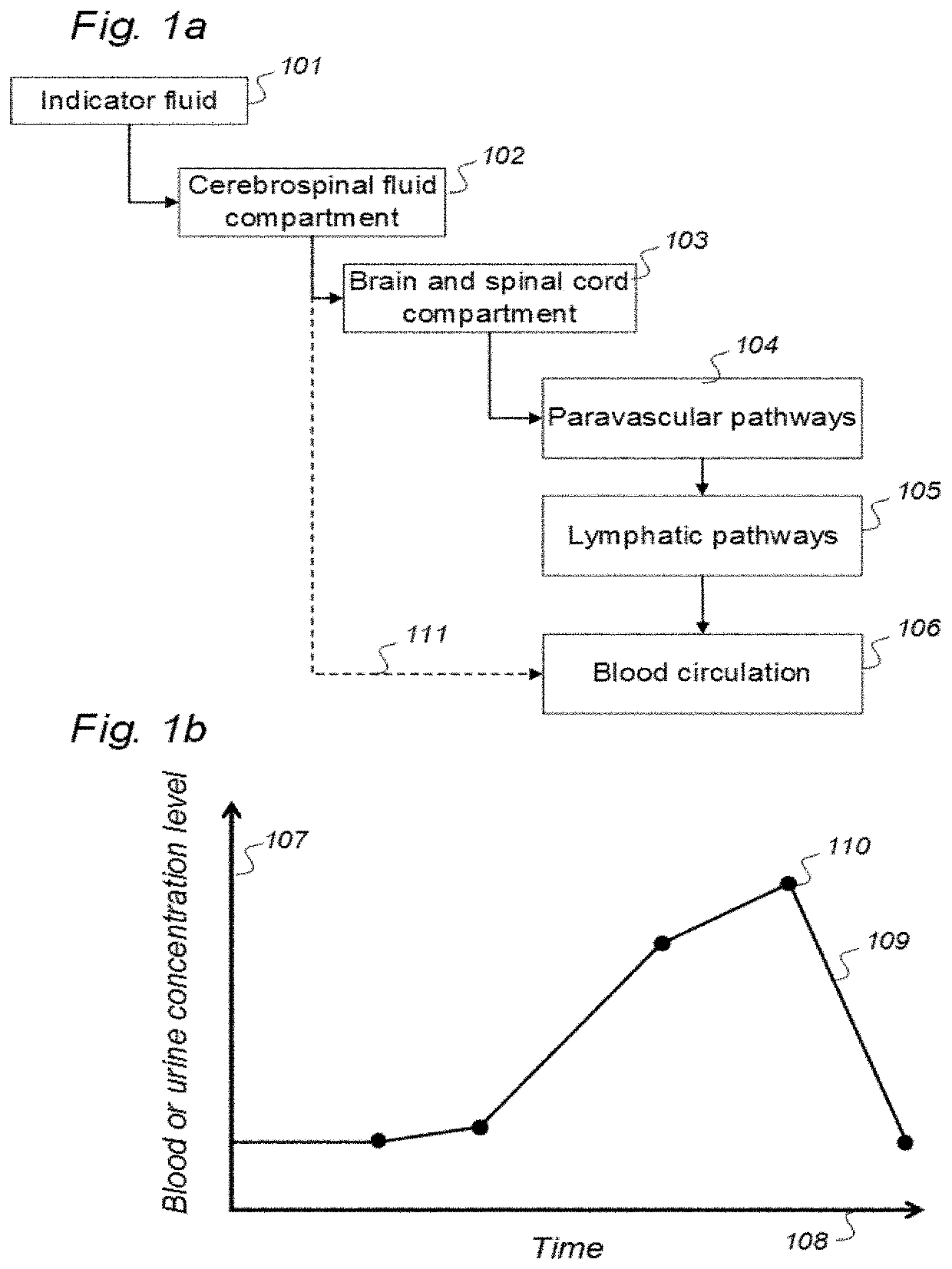 Indicator fluids, systems, and methods for assessing movement of substances within, to or from a cerebrospinal fluid, brain or spinal cord compartment of a cranio-spinal cavity of a human