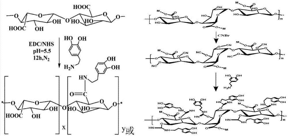 Alginate-based-polycationic microcapsule and applications thereof in embedding bioactive substance