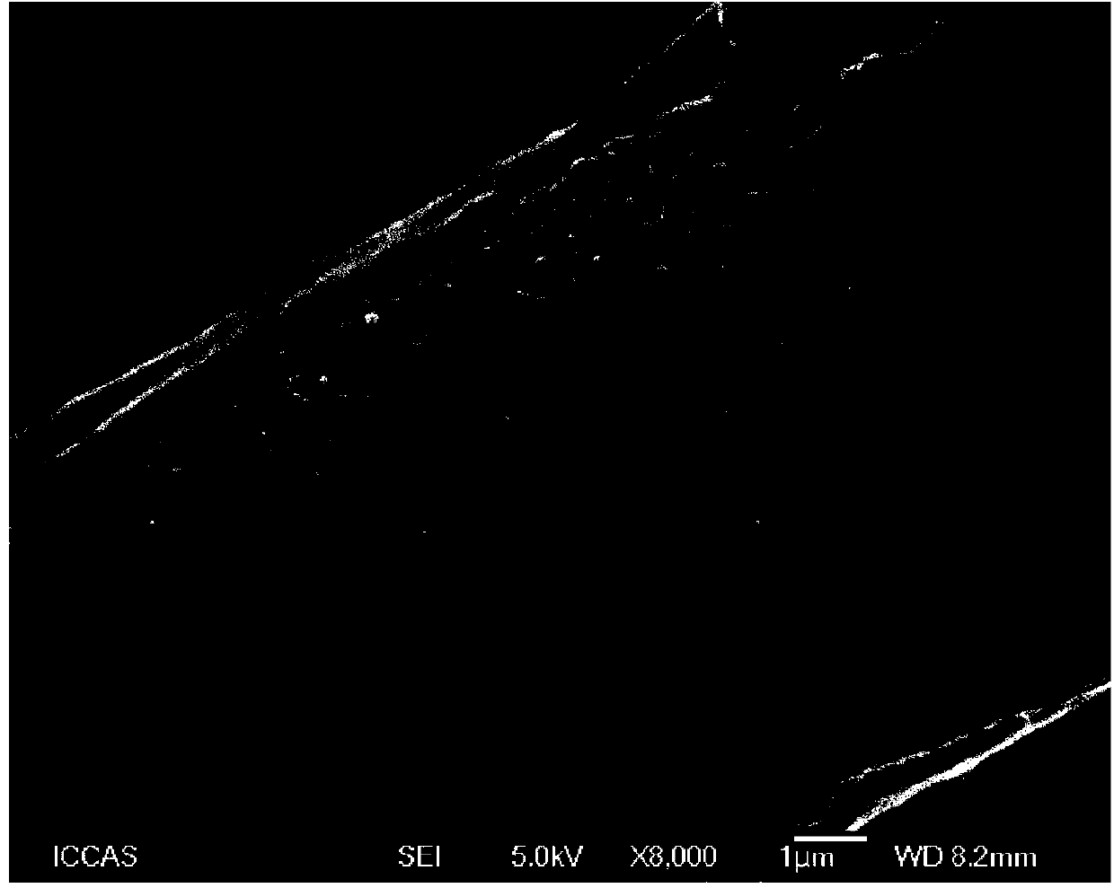 Porous fine denier nylon fiber used for water collection