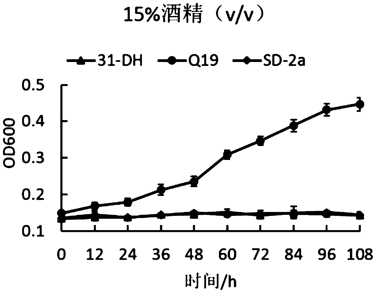 Lactobacillus hilgardii strain and application thereof