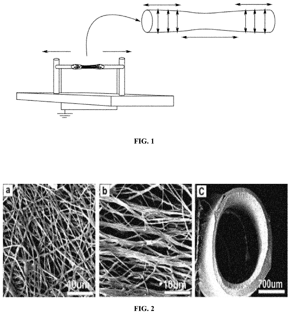 Fibrous nerve conduit for promoting nerve regeneration