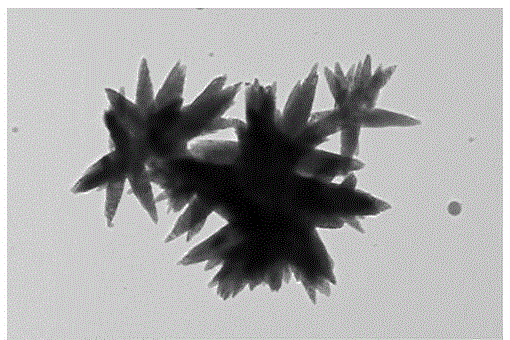 A kind of preparation method of spindle-shaped lead tungstate crystal