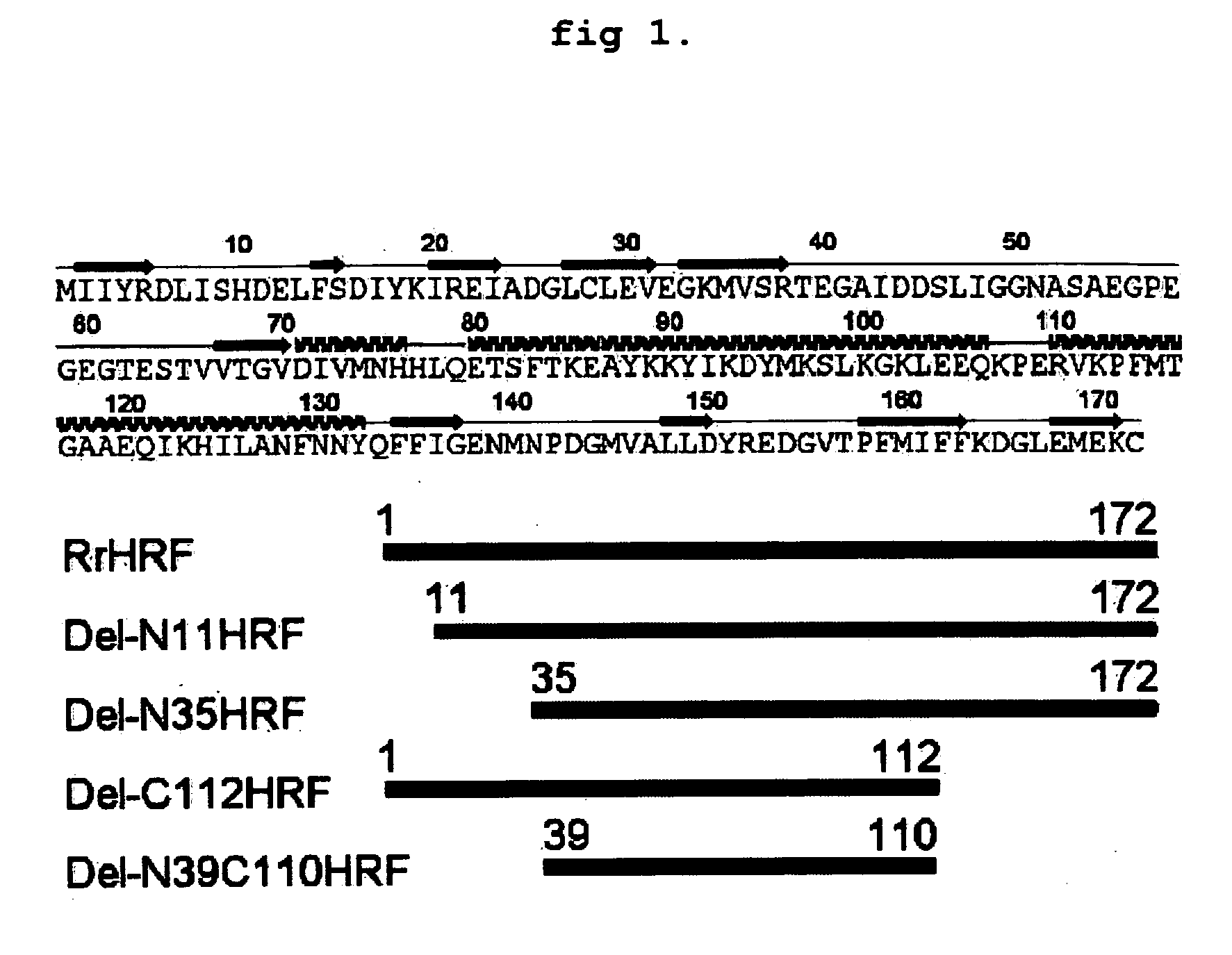 DELETION FORMS OF IgE-DEPENDENT HISTAMINE RELEASING FACTOR HAVING HISTAMINE RELEASING ACTIVITY, HRF-BINDING PEPTIDES AND THE USES THEREOF