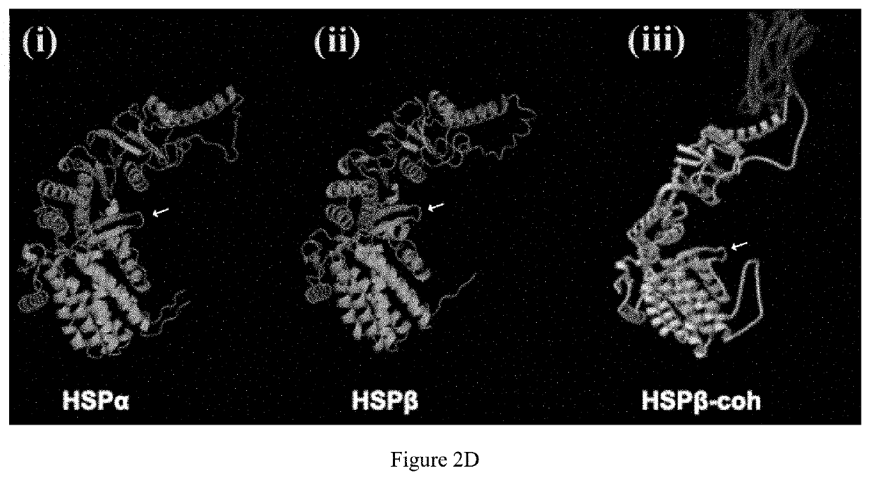 Methods and systems for enhancing feed-conversion-ratio in animals using mobile enzyme sequestration platforms (MSEP)