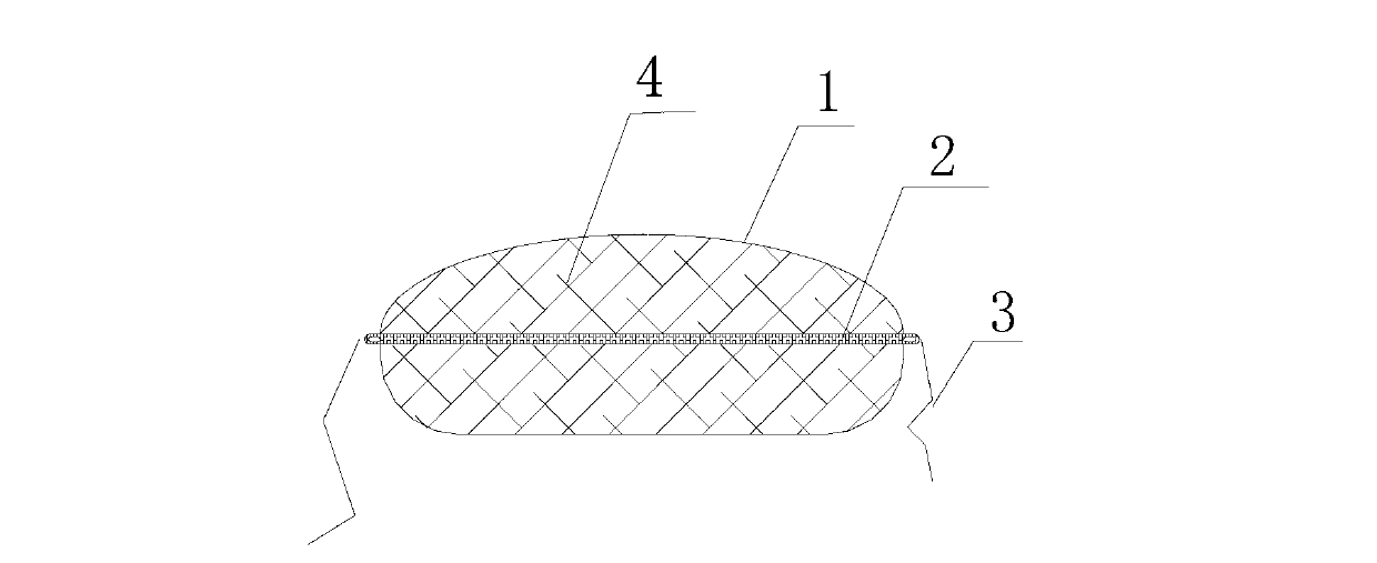 Ecological bag brick and method for establishing constructed wetland in water level fluctuation area by use of same