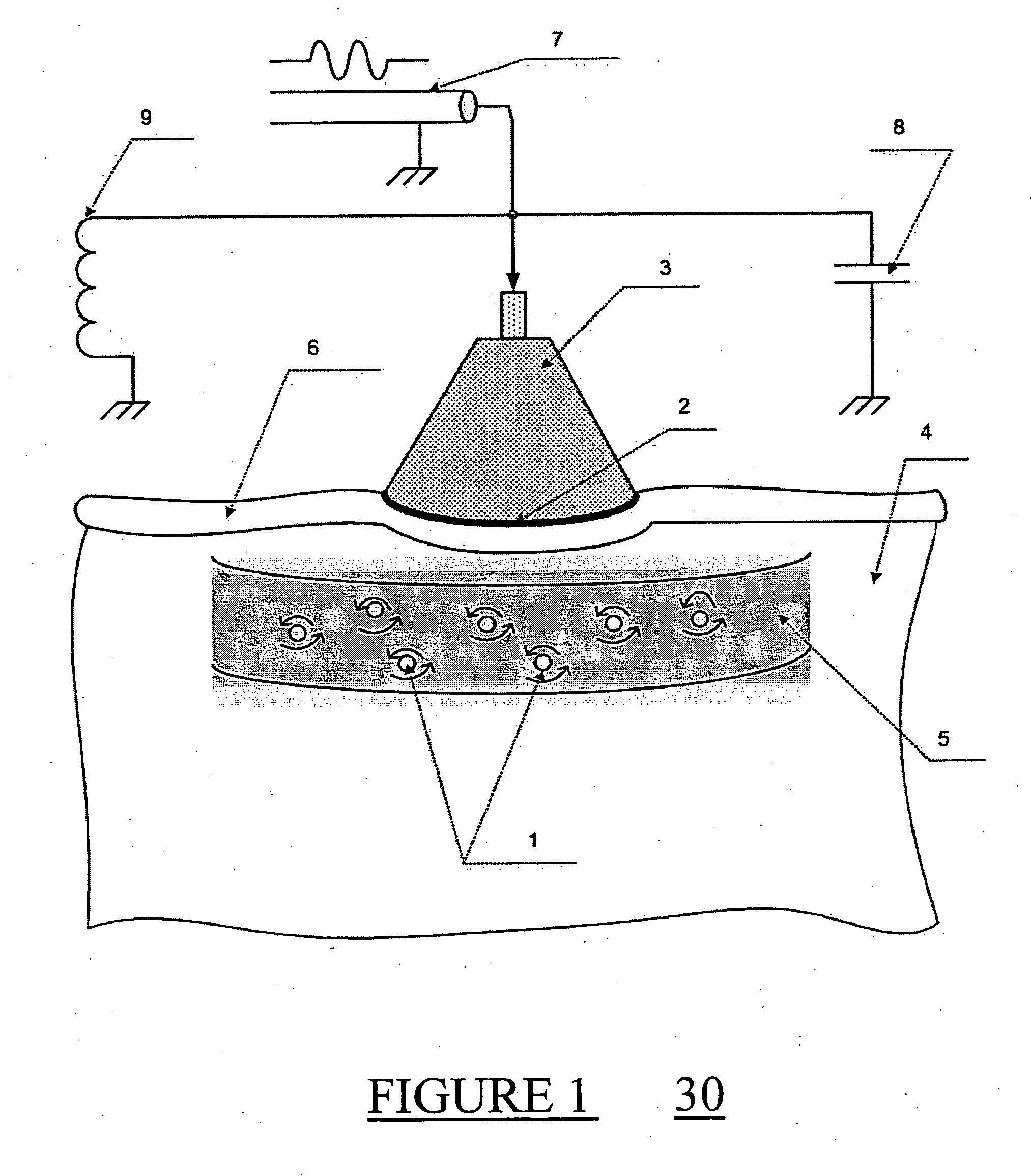 System and method for heating biological tissue via rf energy