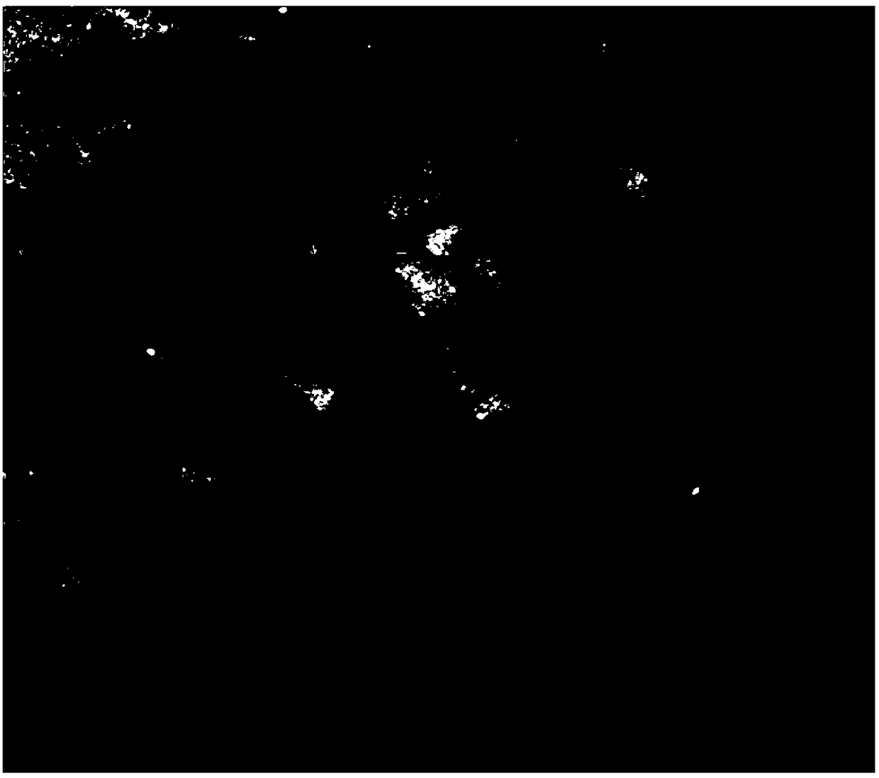 Composite feed additive capable of improving liver mitochondria function of jewfish as well as preparation method and application of composite feed additive