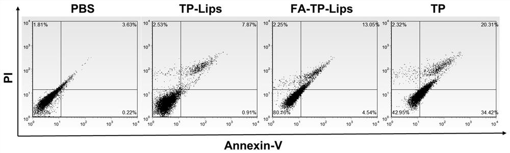 Targeting liposome for treating rheumatoid arthritis and preparation method thereof