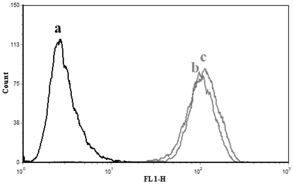 Targeting liposome for treating rheumatoid arthritis and preparation method thereof