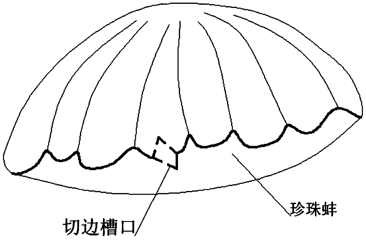 Single-point rapid pearl acquisition method based on pearl culturing