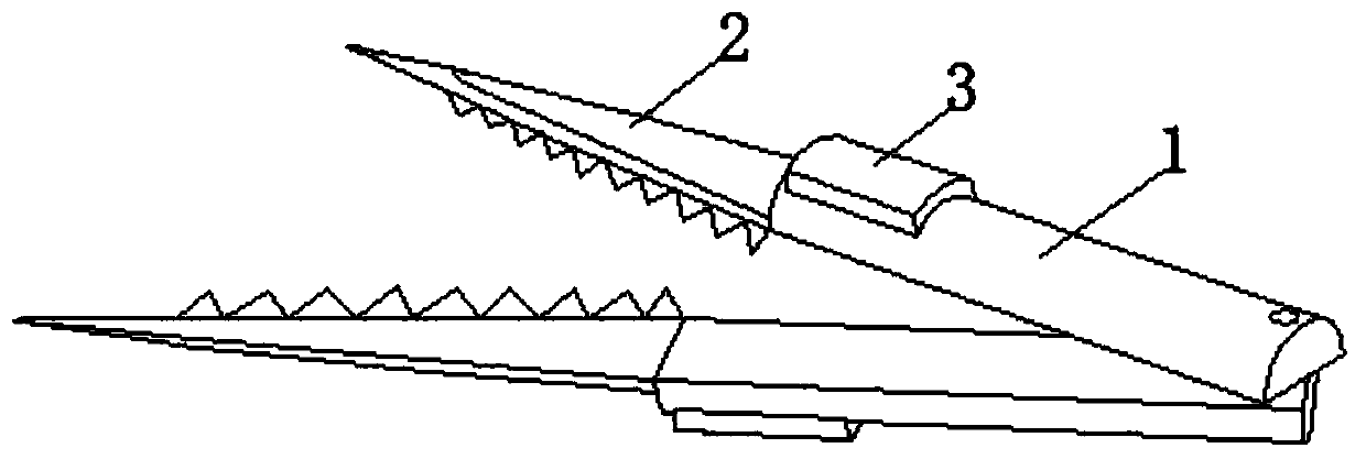 Single-point rapid pearl acquisition method based on pearl culturing